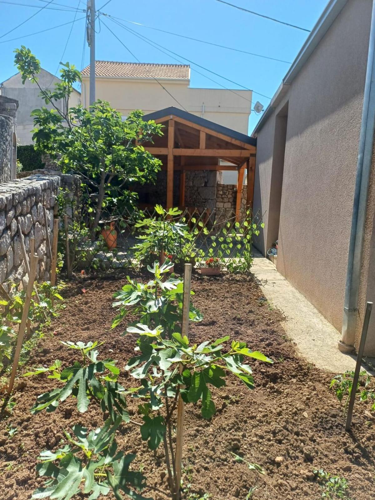 Apartmani Afrodita Crikvenica Exterior foto