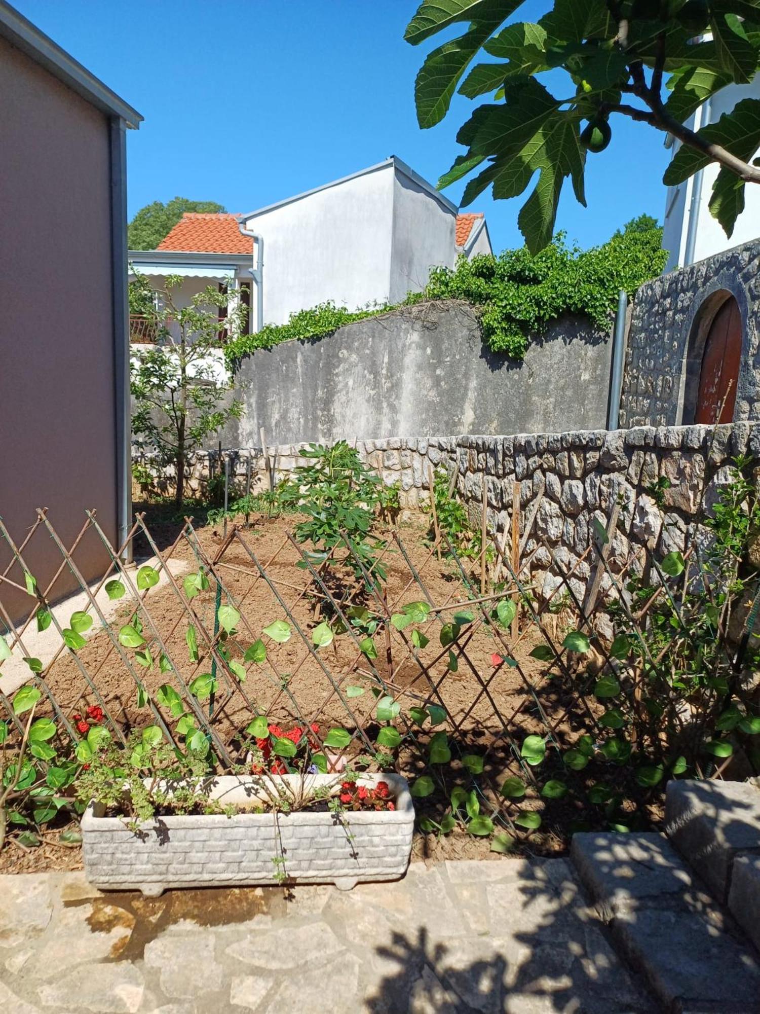 Apartmani Afrodita Crikvenica Exterior foto